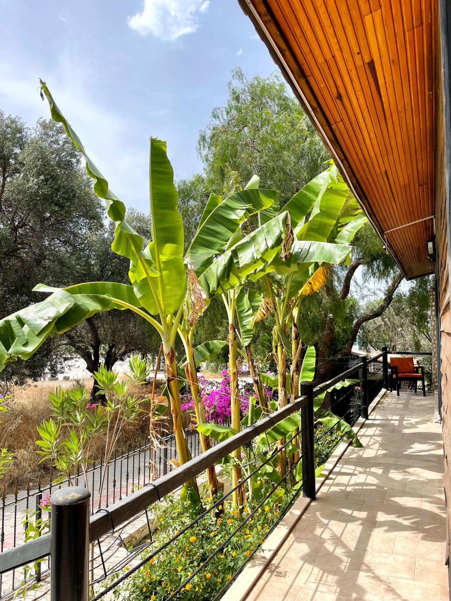 Çeşme Ata Boutique Hotel מראה חיצוני תמונה